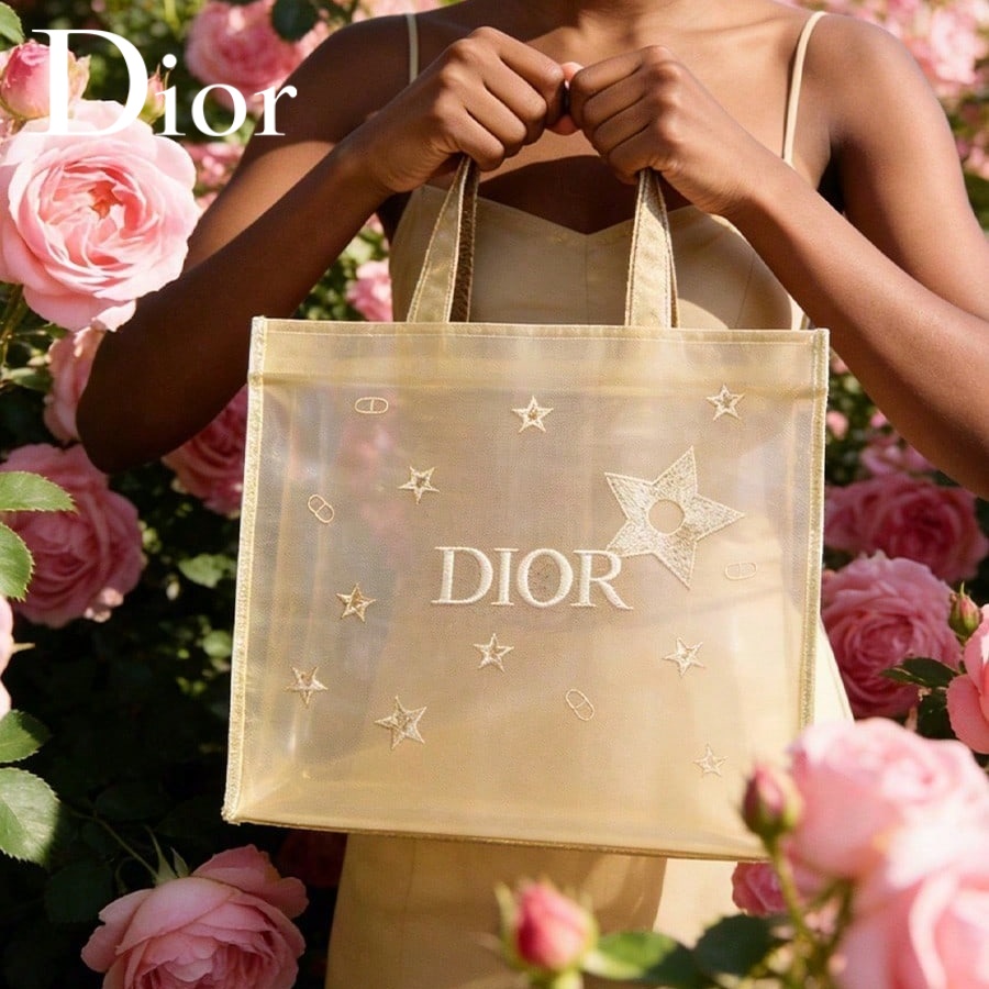 クリスチャン・ディオール ディオールのバッグ 高級ゴールデン - Luxury Bags Dior のレビューと価格